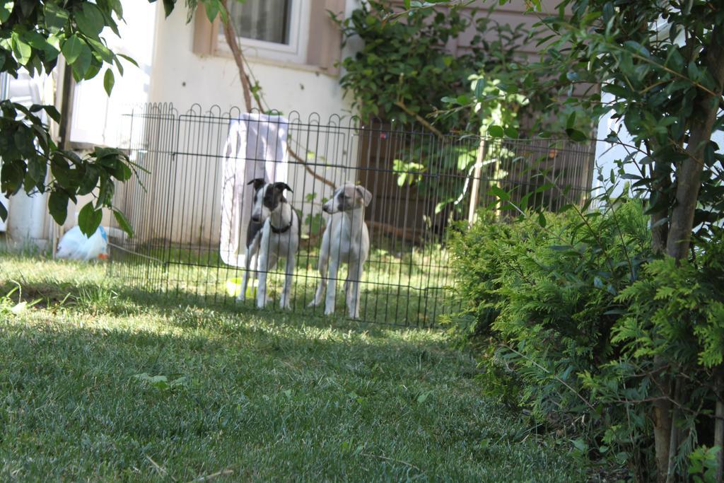 Aloria Garden Hotel Erdek Esterno foto